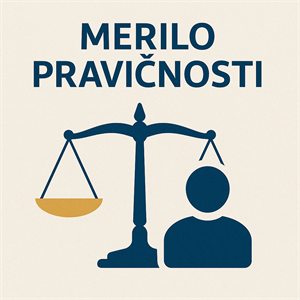 Poizkus nove osvetlitve izzivov »dostopnosti javnih prostorov za invalide« in iskanje izvedljivih rešitev na področjih varovanja človekovih pravic, kjer praksa pokaže, da »sistem deluje pomanjkljivo«