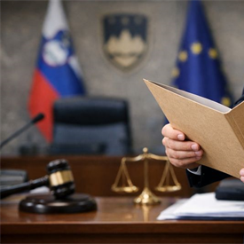 Obvestilo za javnost o vloženi ustavni pritožbi v zvezi s postopkom imenovanja Varuha za človekove pravice 2025/2026